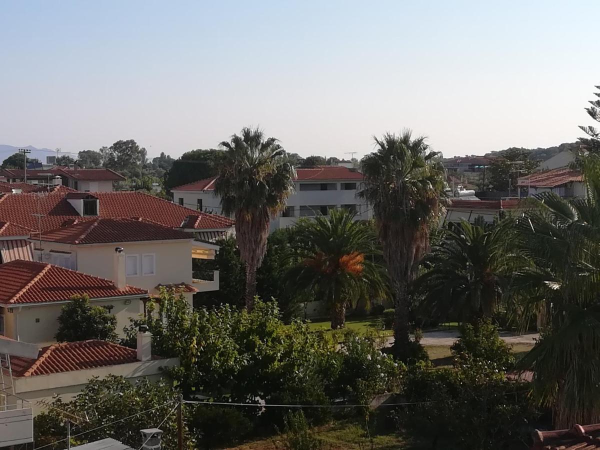 אגיוקמפוס Akrogiali מראה חיצוני תמונה
